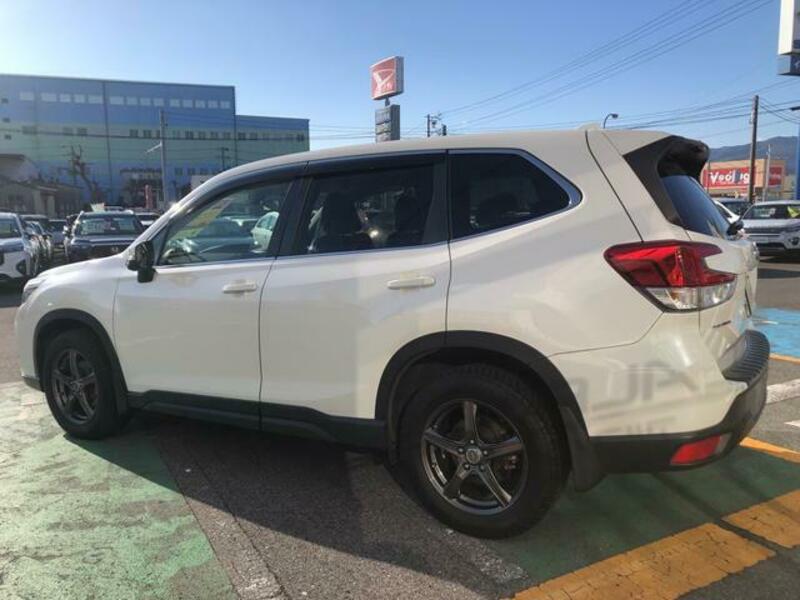 FORESTER