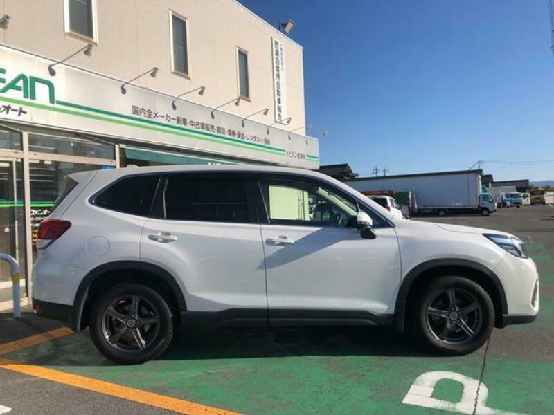 FORESTER