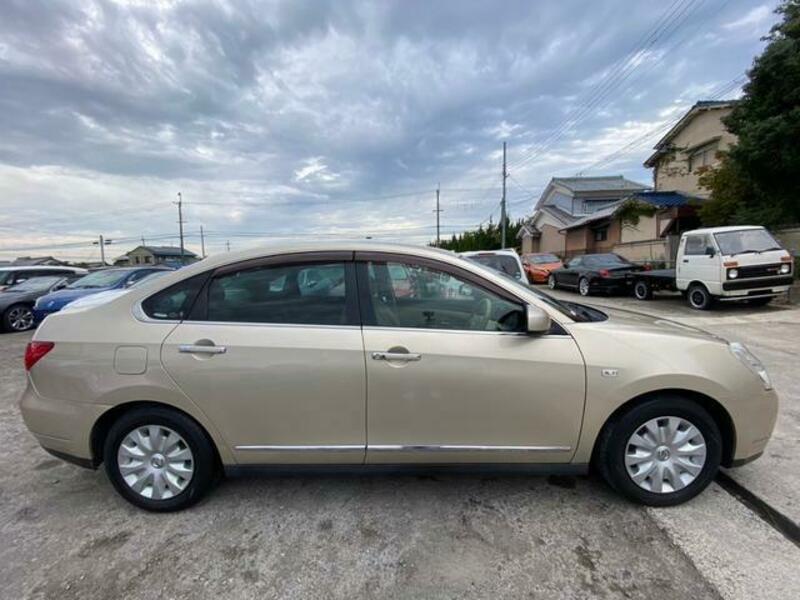BLUEBIRD SYLPHY