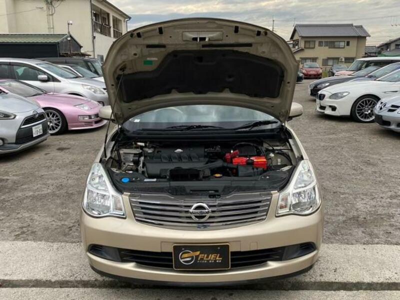 BLUEBIRD SYLPHY