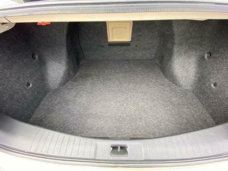 BLUEBIRD SYLPHY