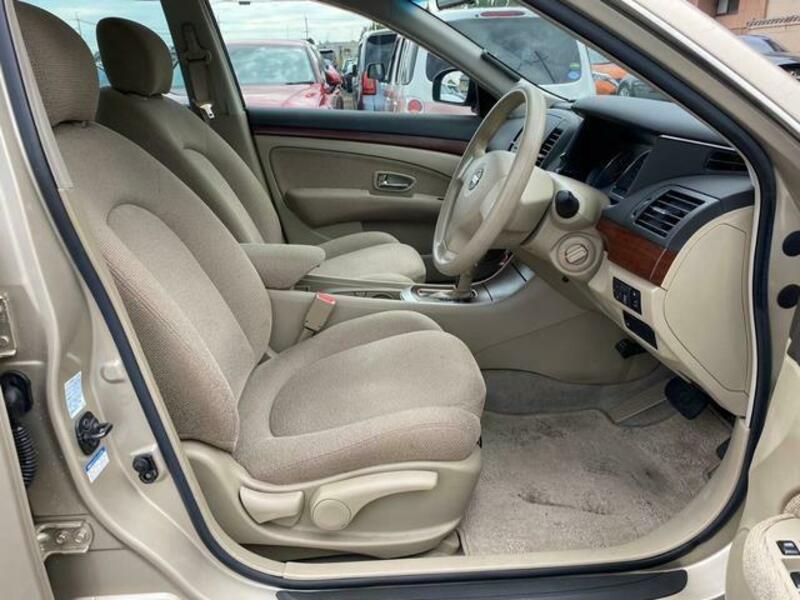 BLUEBIRD SYLPHY