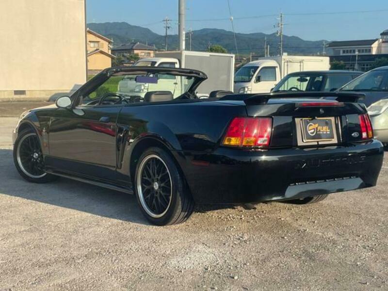 MUSTANG