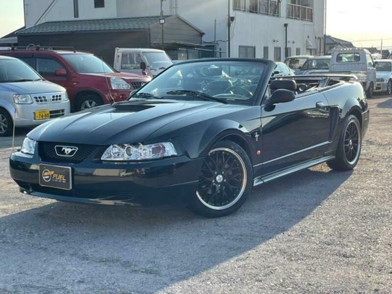 MUSTANG