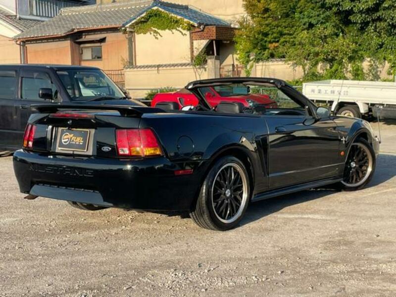 MUSTANG