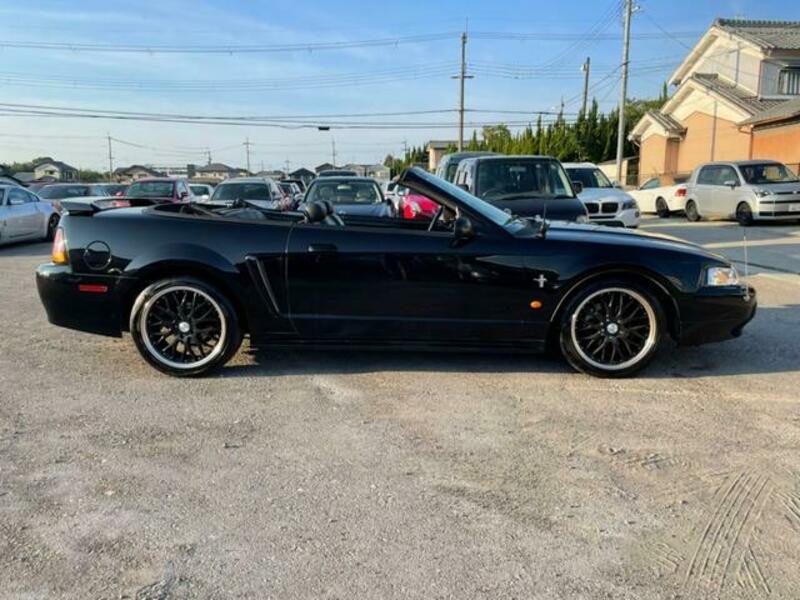 MUSTANG