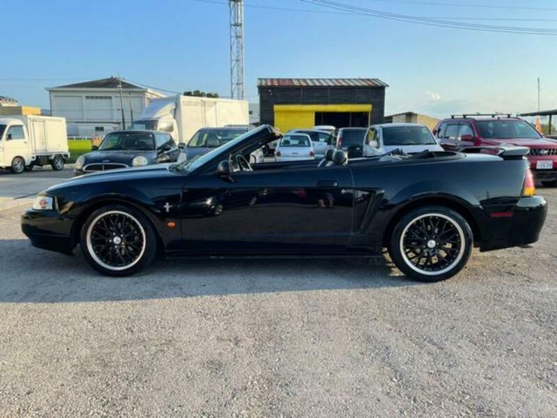 MUSTANG