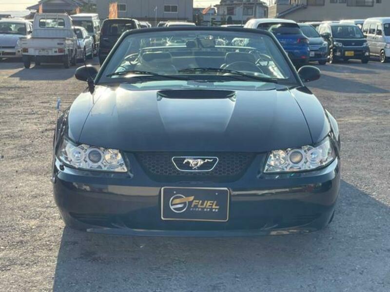 MUSTANG