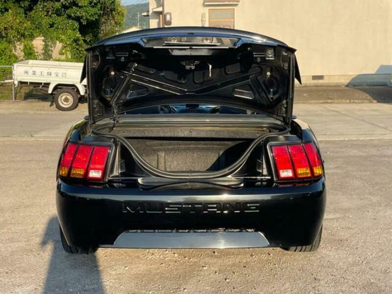 MUSTANG
