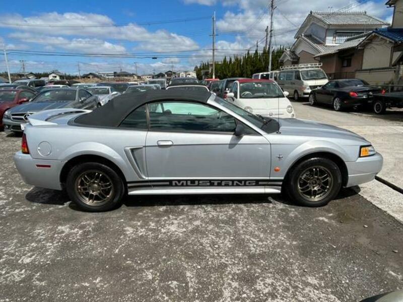 MUSTANG