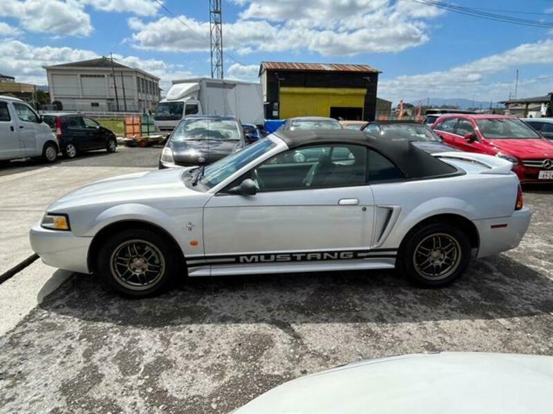 MUSTANG