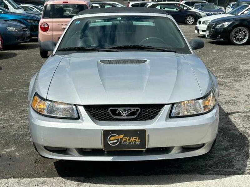MUSTANG