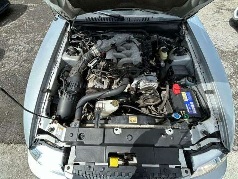 MUSTANG