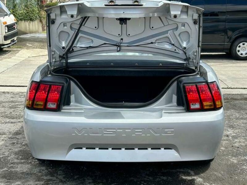 MUSTANG
