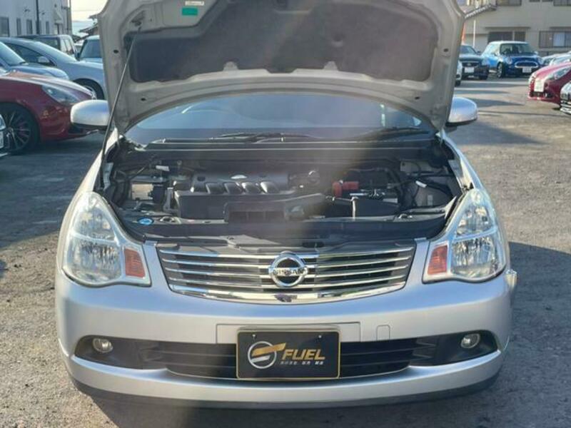 BLUEBIRD SYLPHY