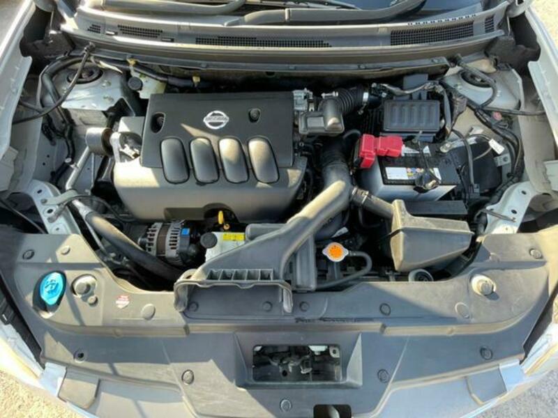 BLUEBIRD SYLPHY