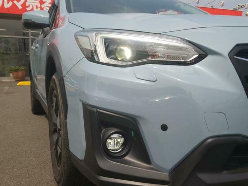XV