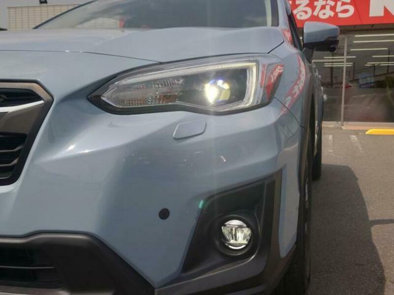 XV