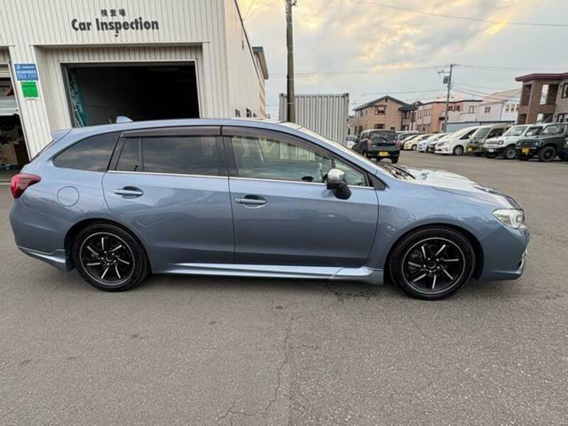 LEVORG