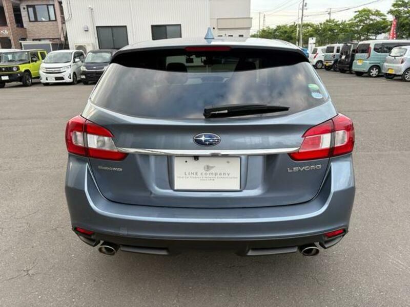 LEVORG