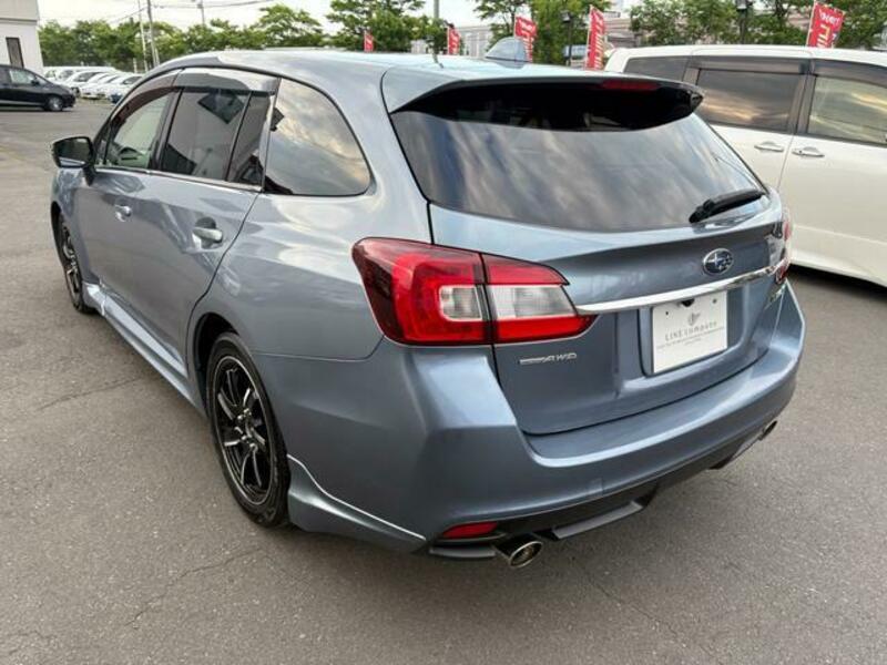 LEVORG