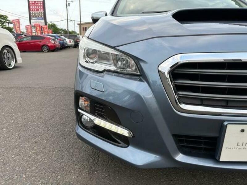 LEVORG