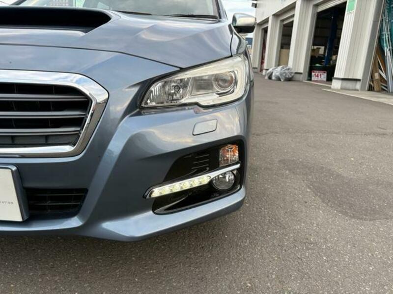 LEVORG