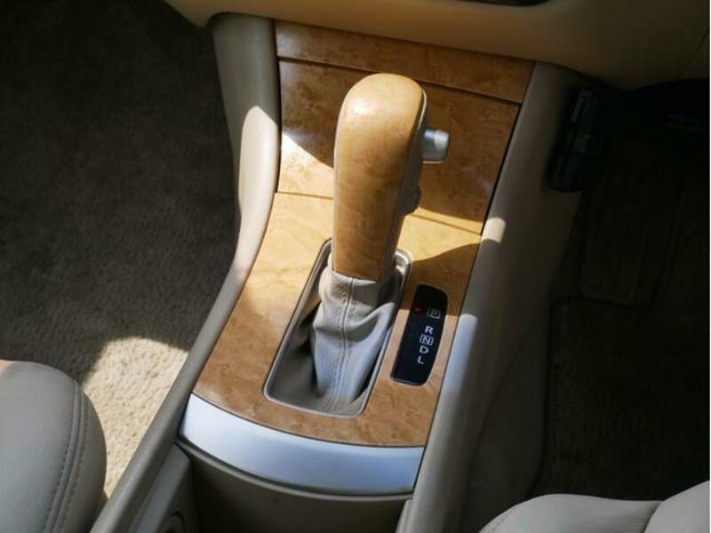 BLUEBIRD SYLPHY