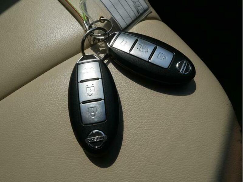 BLUEBIRD SYLPHY