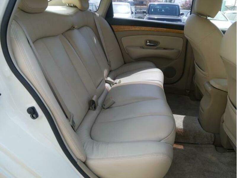 BLUEBIRD SYLPHY