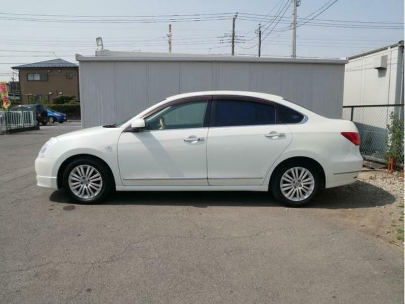 BLUEBIRD SYLPHY