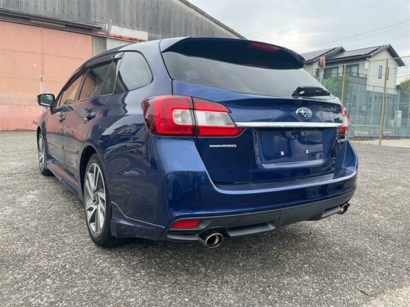 LEVORG