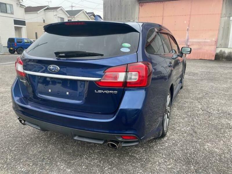 LEVORG