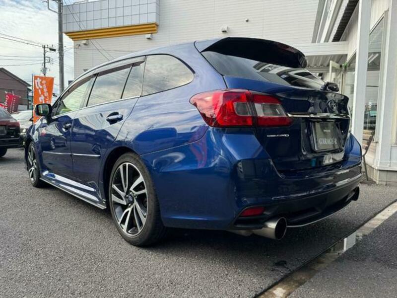 LEVORG