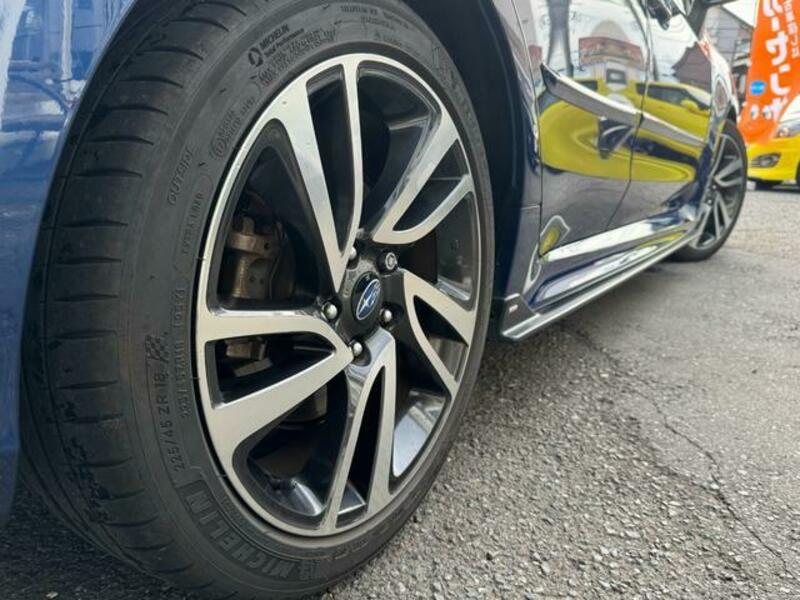 LEVORG
