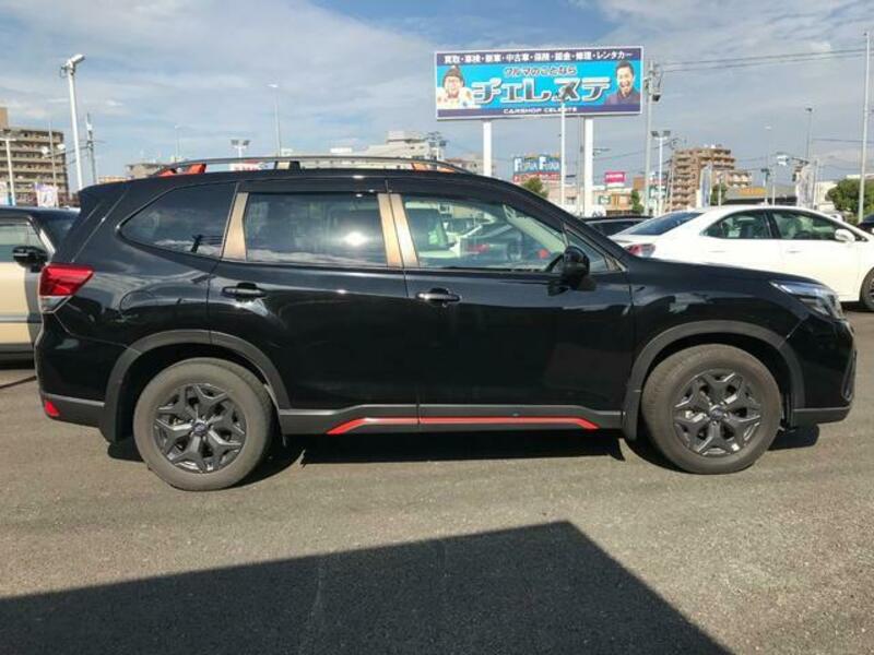 FORESTER