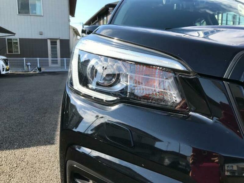 FORESTER