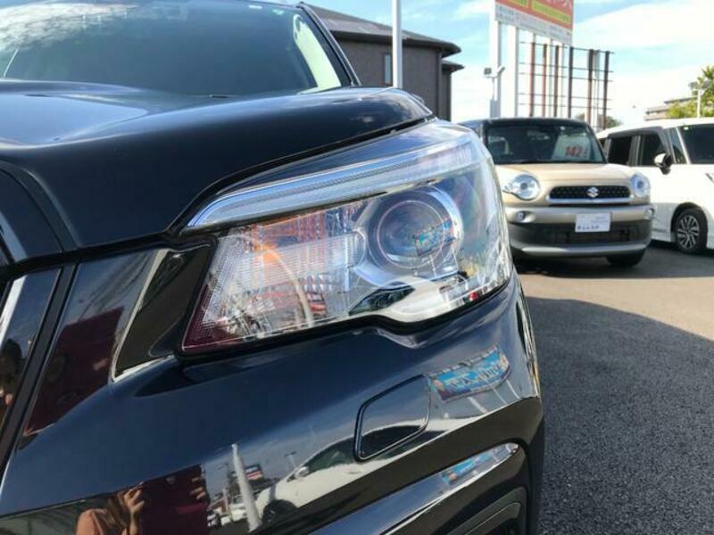 FORESTER