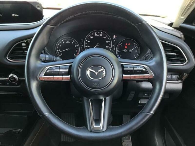 CX-30