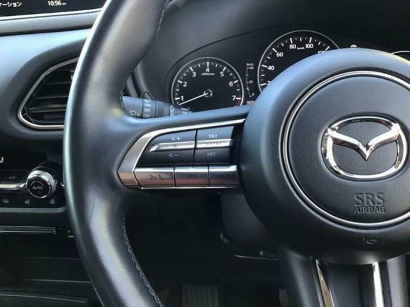 CX-30