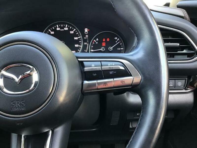 CX-30
