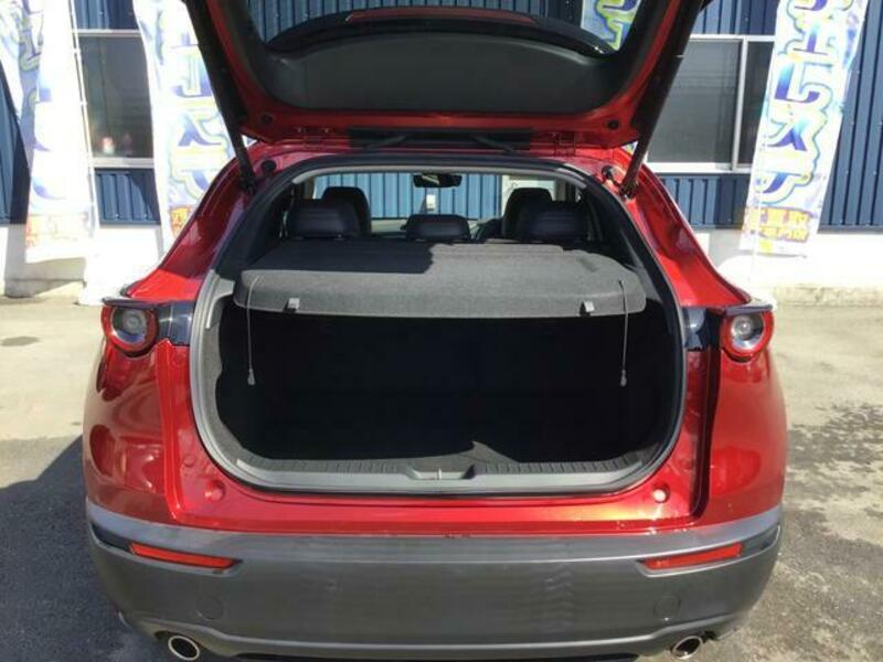 CX-30