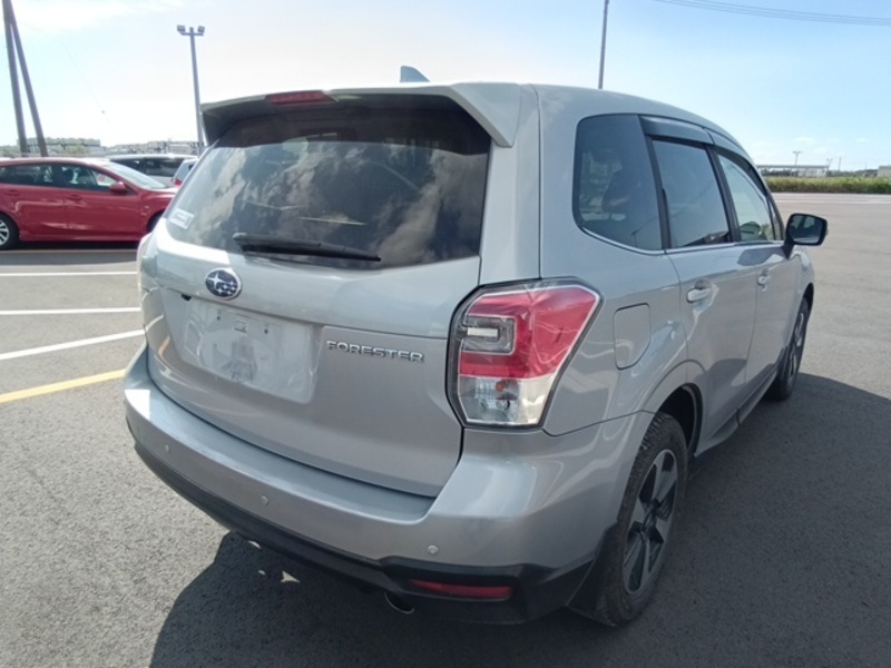 FORESTER