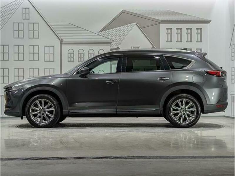 CX-8