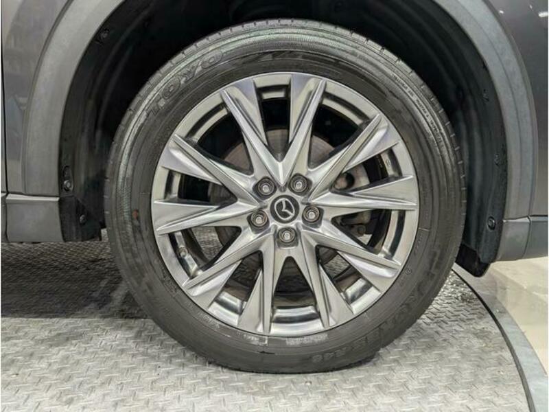CX-8