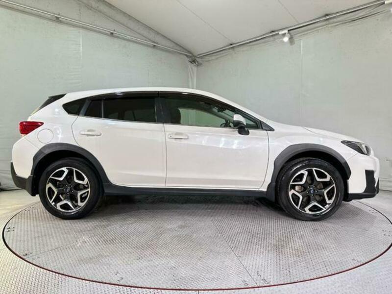 XV