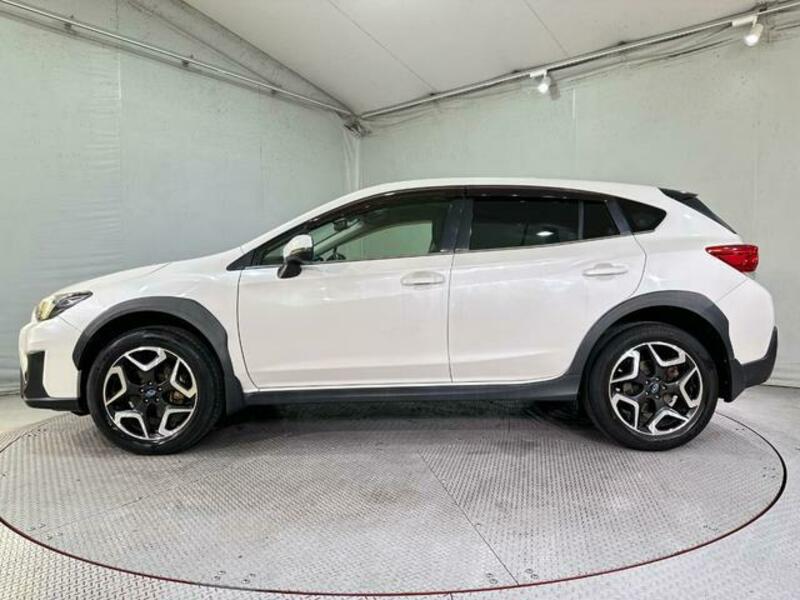 XV