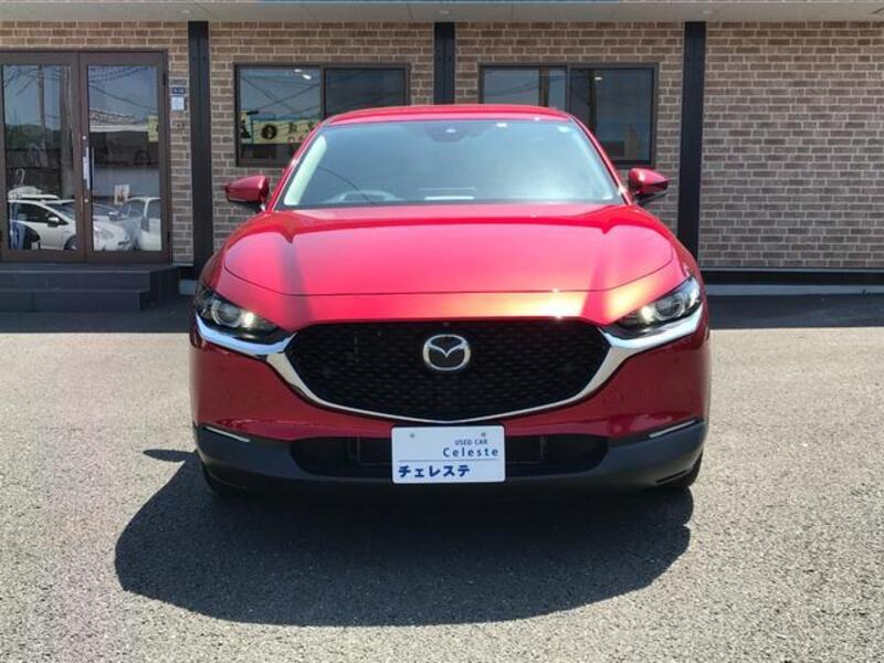 CX-30