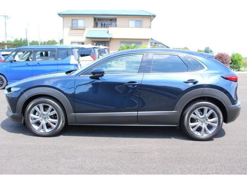 CX-30
