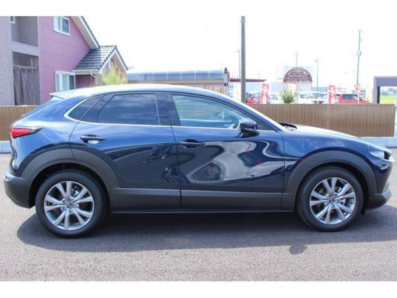 CX-30